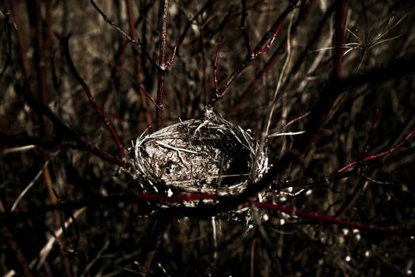Empty-Nest Coaches: The Secret Weapon for Parents Navigating the Empty Nest