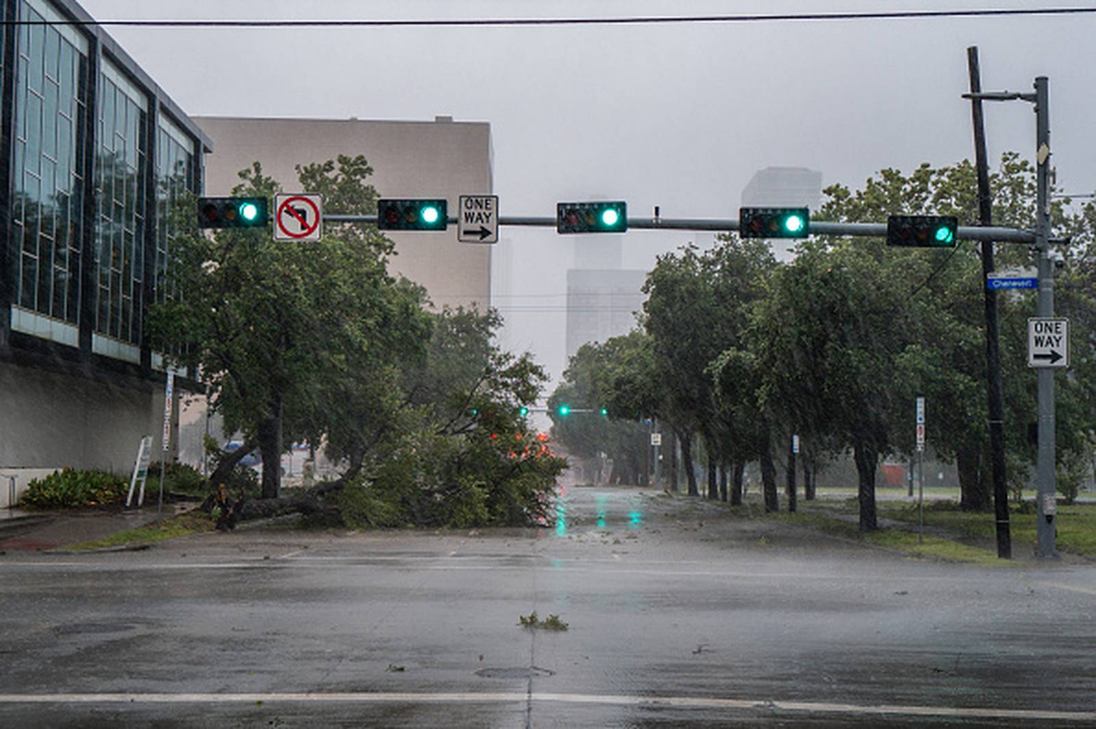 Hurricane Beryl victims use Whataburger app to track power outages