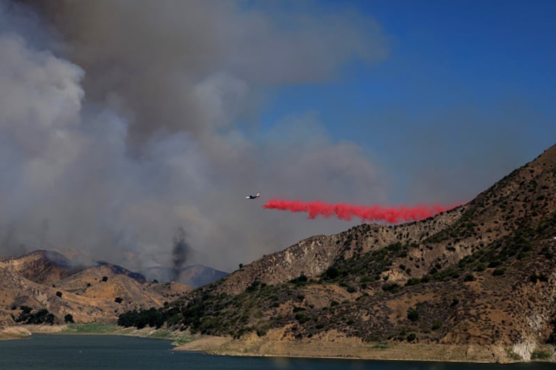 wildfire