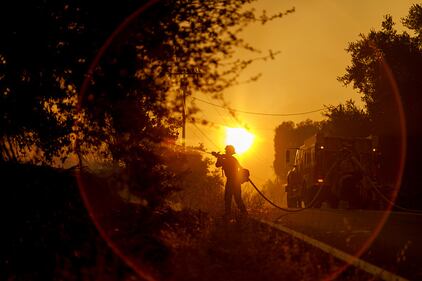 wildfire