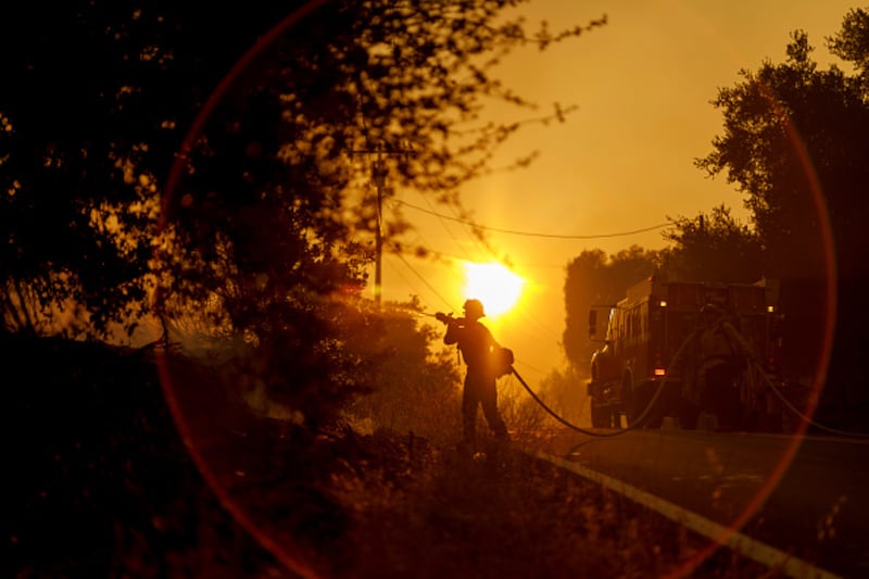 wildfire