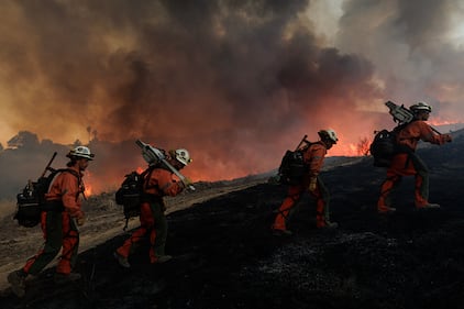 wildfire