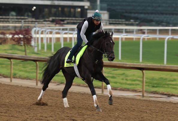 Horses at the Kentucky Derby