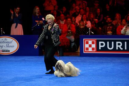 National Dog Show