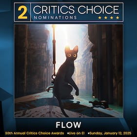 Critics Choice nominees